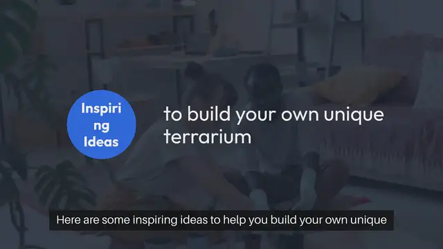 Video thumbnail for DIY Indoor Terrarium Ideas