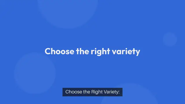 Video thumbnail for How To Grow Tomatoes In Pots