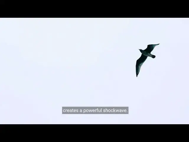 Video thumbnail for How to Play Angry Birds?