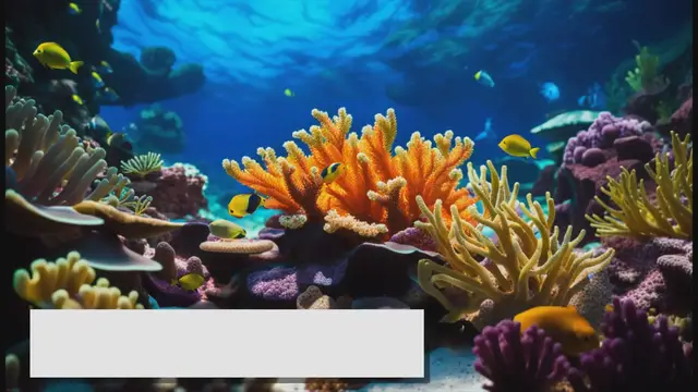 Video thumbnail for A Complete Guide to a Reef Aquarium Setup