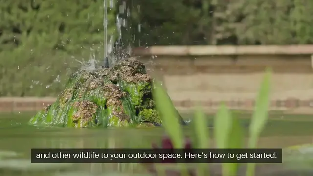 Video thumbnail for How To Create A Wildlife Garden