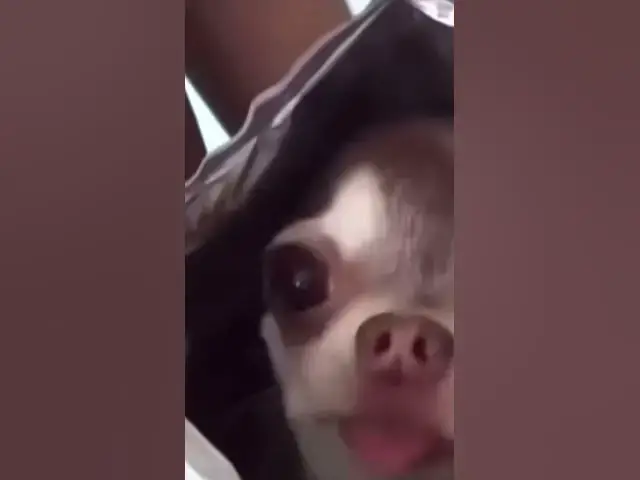 'Video thumbnail for This is so scary'