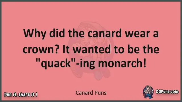 Video thumbnail for Canard - Jokes, Puns, Wordplays, and Laughter