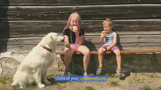 Video thumbnail for Does pet insurance cover dental?