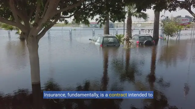 Video thumbnail for Unlocking Insurance Secrets: Exclusions & Limitations Explained