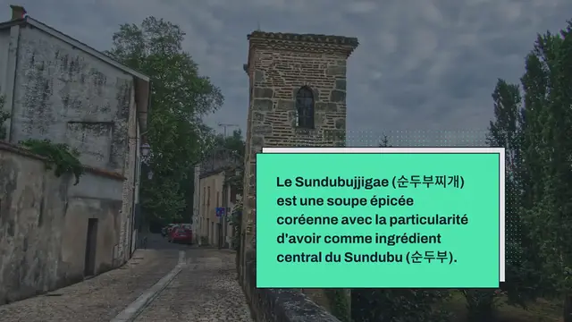 Video thumbnail for Soupe épicée au tofu soyeux / Sundubujjigae / 순두부찌개