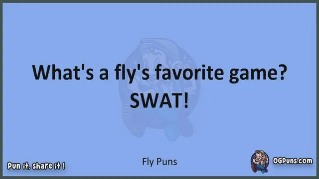 Video thumbnail for Fly - Jokes, Puns, Wordplays, and Laughter