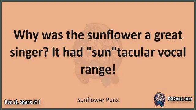Video thumbnail for Sunflower - Jokes, Puns, Wordplays, and Laughter