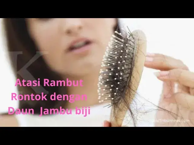 'Video thumbnail for Inilah 8 Manfaat Daun Jambu Biji Untuk Rambut Rontok Wanita'