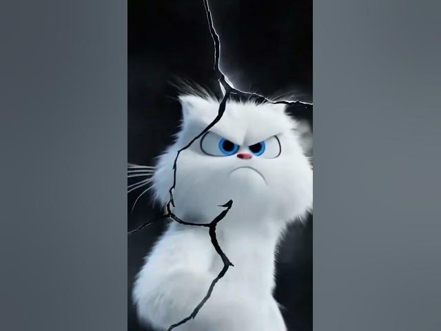 Video thumbnail for When you finally decide to quit job hunting🤠🤸🐲💼