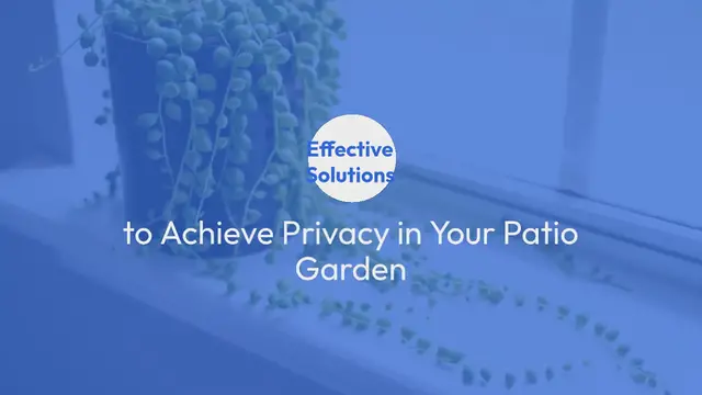 Video thumbnail for Patio garden