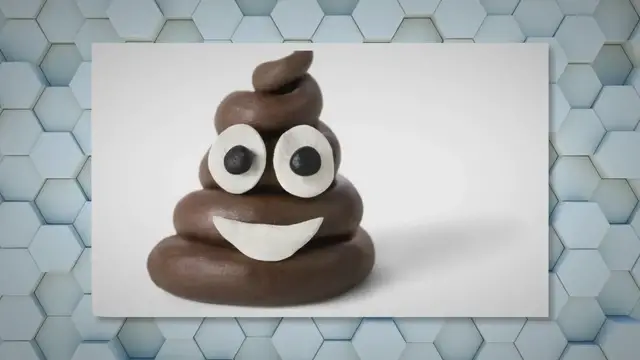 'Video thumbnail for The Art of Pooping Quietly at Night'