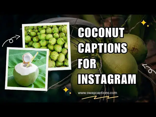 Video thumbnail for Coconut Captions for Instagram