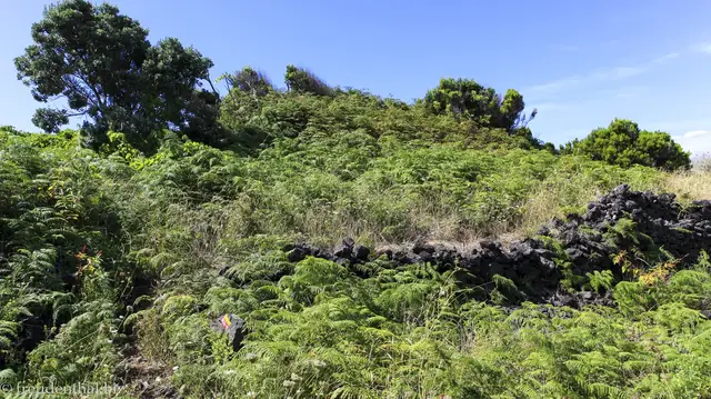 Video thumbnail for Ponta da Ilha auf Pico | Azoren