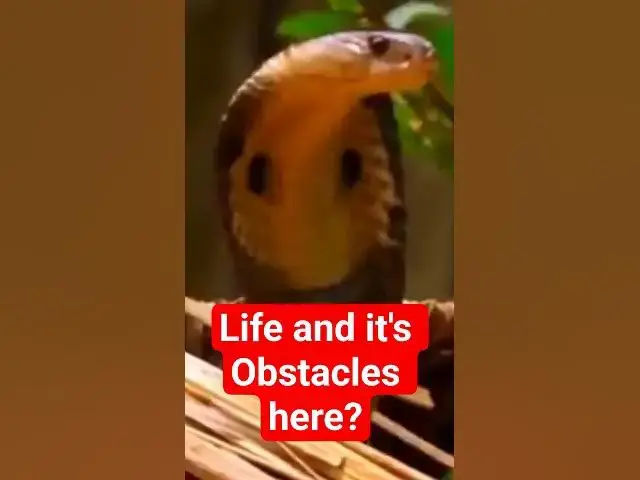 Video thumbnail for 26 October 2025