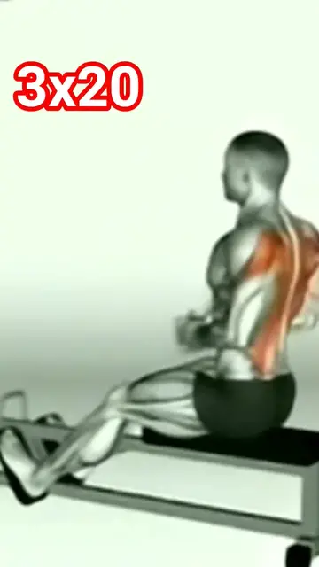 Video thumbnail for #aerobic #sports #الاجسام #body_building #fitness #shoulder #personaltrainer #motivation #full