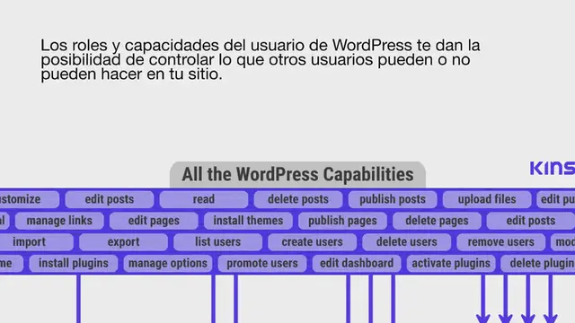 Video thumbnail for La guía definitiva de las funciones y capacidades del usuario de WordPress