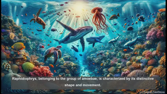 Video thumbnail for Raphidiophrys in biology