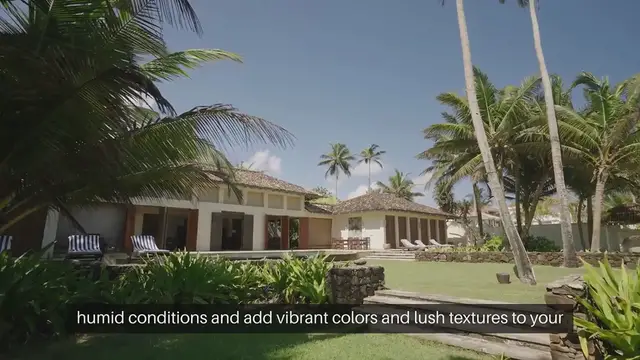 Video thumbnail for Best Plants For A Tropical Garden