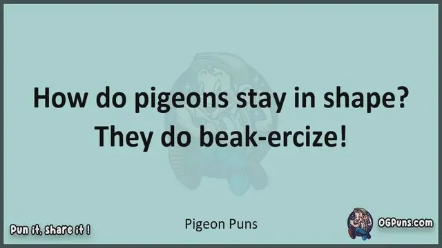 Video thumbnail for Pigeon - Jokes, Puns, Wordplays, and Laughter