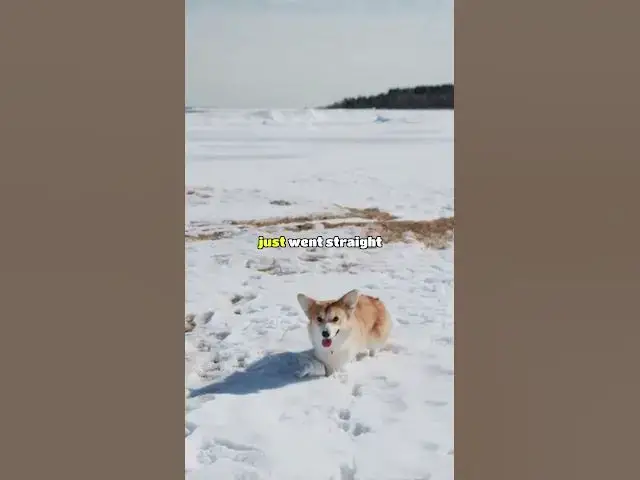 Video thumbnail for Who's the dumbest criminal you've ever seen? #aitareddit #redditstories #redditstorytime