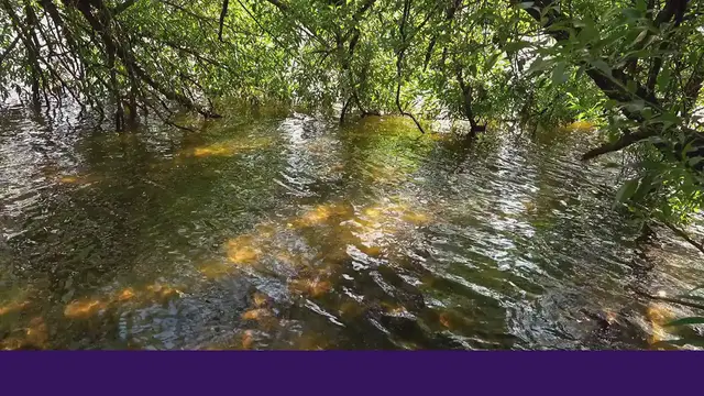 Video thumbnail for Unveiling the Top 10 Longest Rivers | A Journey Across Continents