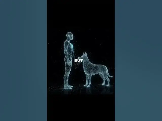 Video thumbnail for Have you ever wondered why a dog would risk its life to protect its owner