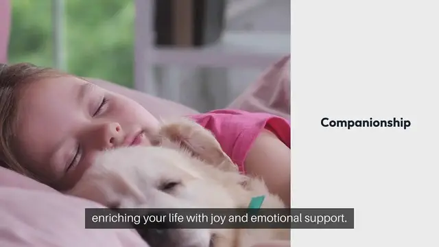 'Video thumbnail for Adopting a Pet Rewards and Challenges'