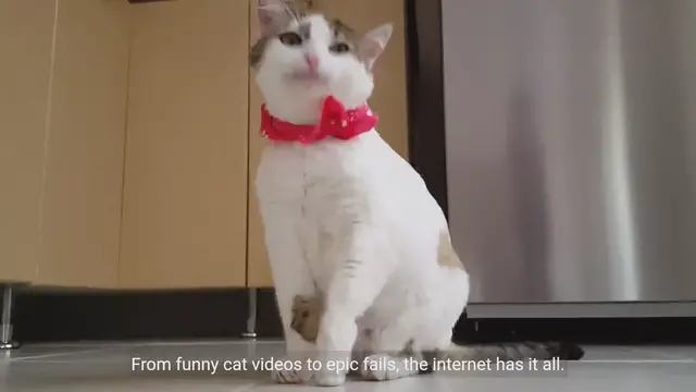 Video thumbnail for Inside Internet Culture: Exploring Memes, Trends, and Challenges