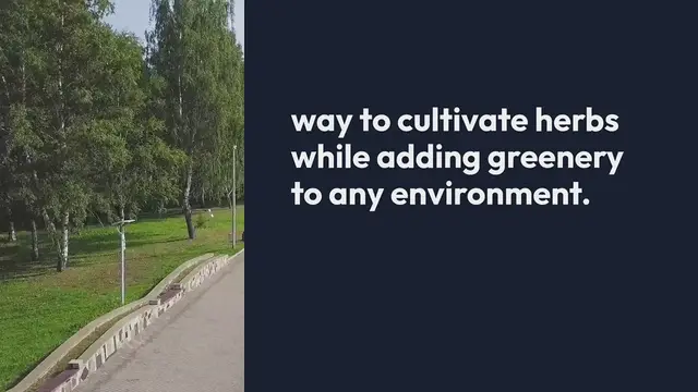 Video thumbnail for Creative Vertical Herb Garden Ideas