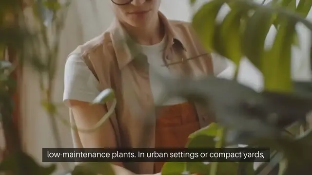 Video thumbnail for Low-Maintenance Plants for Small Gardens