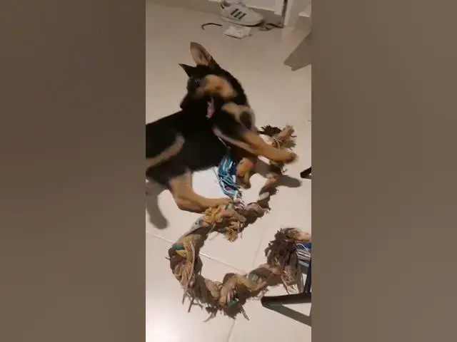 Video thumbnail for Baloocreate MAD