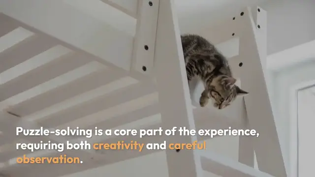 Video thumbnail for Stray Cat Puzzle Solving Strategies