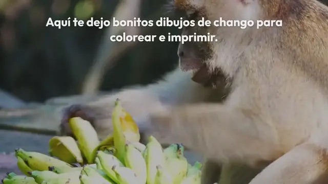 Video thumbnail for Chango para colorear