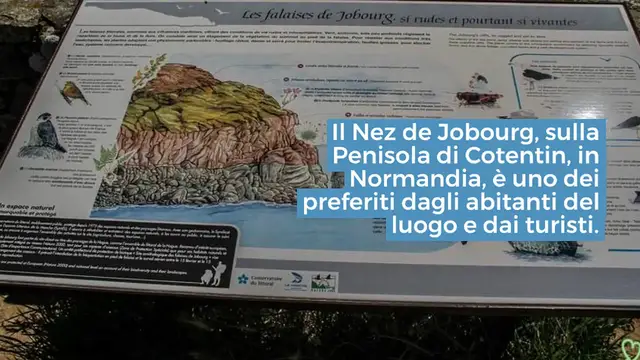 Video thumbnail for Nez de Jobourg (Normandia): consigli + foto