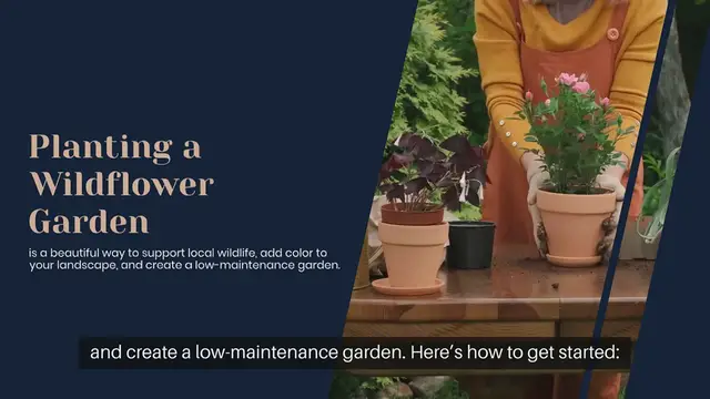 Video thumbnail for How To Plant A Wildflower Garden