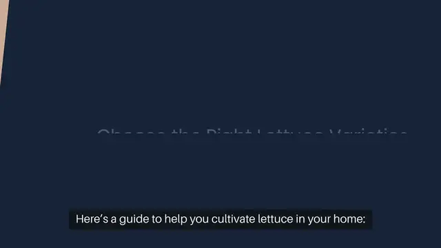 Video thumbnail for How To Grow Lettuce Indoors