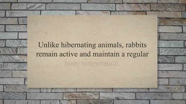 Video thumbnail for Do Rabbits Hibernate? Winter Survival Strategies