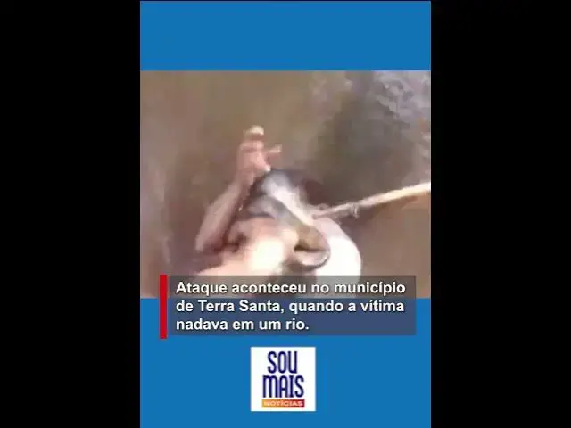 Video thumbnail for Homem morde sucuri para escapar de ataque em rio no Pará