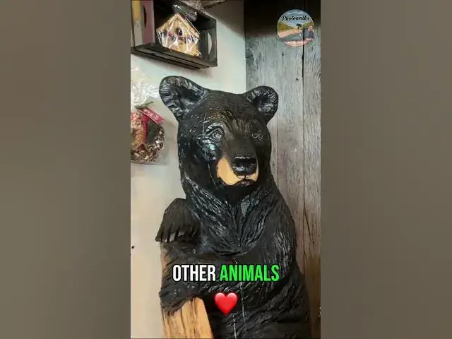 Video thumbnail for Chainsaw Art: From Wood to Wild Bears & Elvis! #shorts