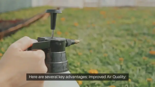 Video thumbnail for The Benefits of Growing Indoor Plants for Seniors