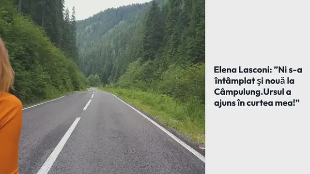 Video thumbnail for Elena Lasconi: ”Ni s-a întâmplat şi nouă la Câmpulung. Ursul a ajuns în curtea mea!”