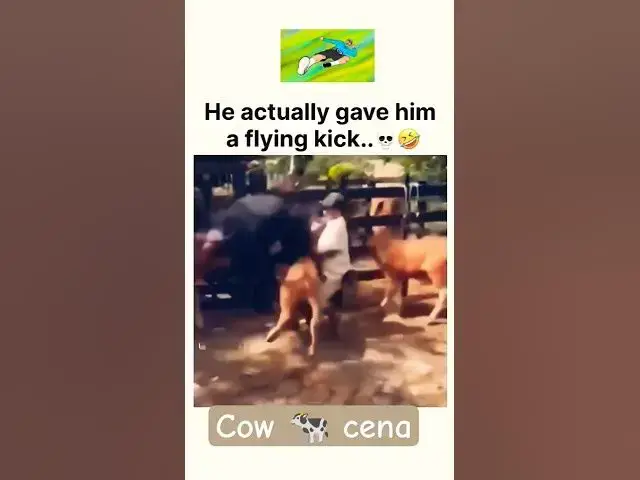 Video thumbnail for Cow kick #cow #fun #fails