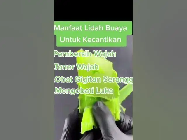 'Video thumbnail for Manfaat Lidah Buaya#shorts #lidahbuaya #shortvideo'