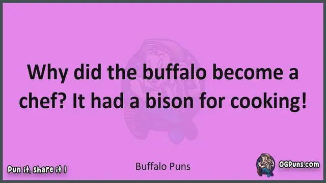 Video thumbnail for Buffalo - Jokes, Puns, Wordplays, and Laughter