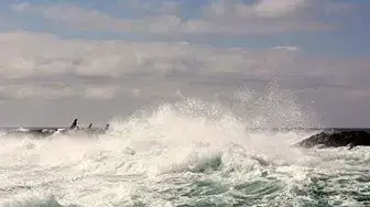 Video thumbnail for Grauwale vor Tofino
