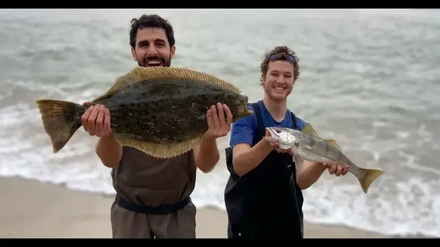 'Video thumbnail for Surf Fishing - Catching White Seabass, Halibut, Spotfin Croaker, Corbina and Yellowtail from Shore!'