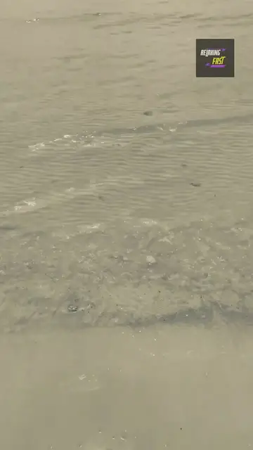 'Video thumbnail for The Calming Power of Water Sounds: A Tranquil Journey'