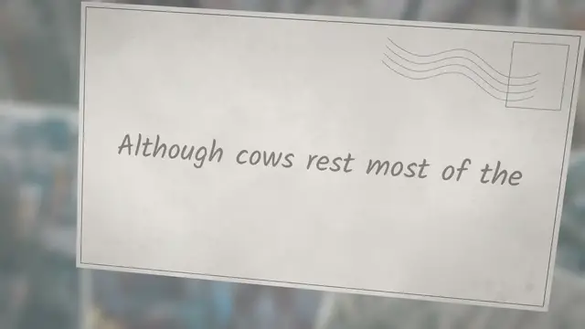 Video thumbnail for How Do Cows Sleep?