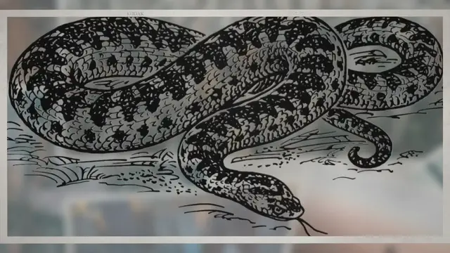 'Video thumbnail for Why is Python Easy to Learn?'